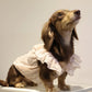 Dog Princess Lace Dress | Holiday Gear Collection | Girl Dog Summer Skirt