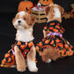 Dog Halloween Pumpkin Skirt Dress | Holiday Gear Collection | Girl Dog Lace Costume