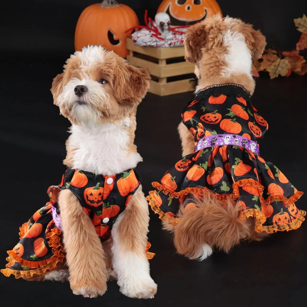 Dog Halloween Pumpkin Skirt Dress | Holiday Gear Collection | Girl Dog Lace Costume