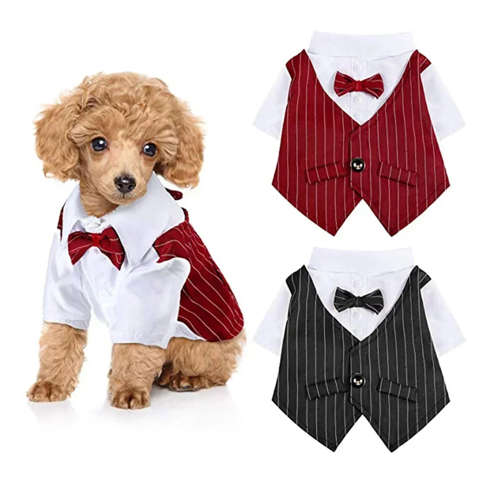 Dog Gentleman Suit | Holiday Gear Collection | Striped Bow Tie Shirt