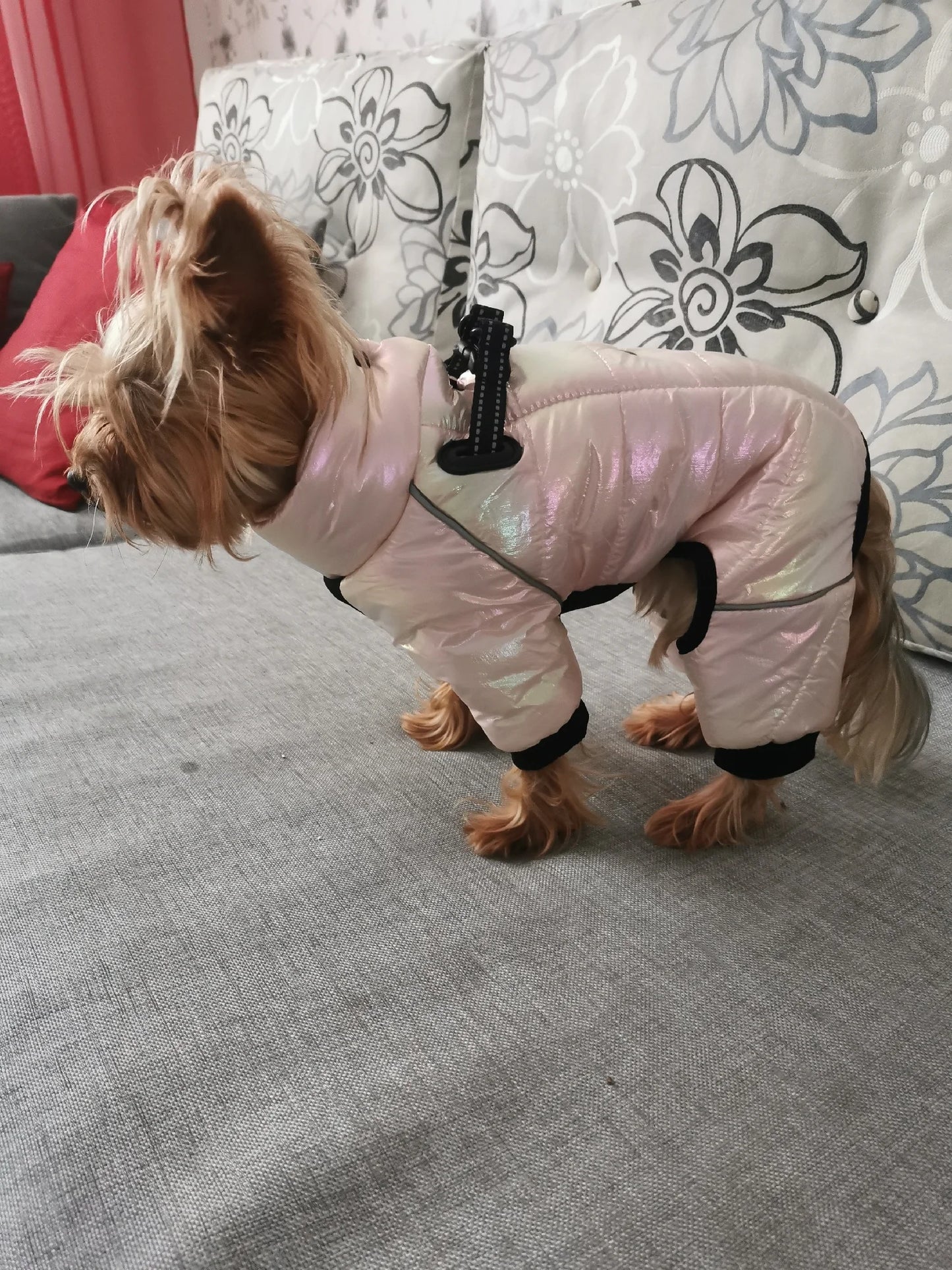 Warm Winter Jumpsuit Waterproof and Reflective for small dogs