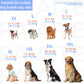 Dog Premium Calming Hoodie | Holiday Gear Collection | Buttery Soft Comfort for All Breeds
