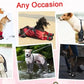 Dog Suspender Boots Anti-Slip&Fall Waterproof