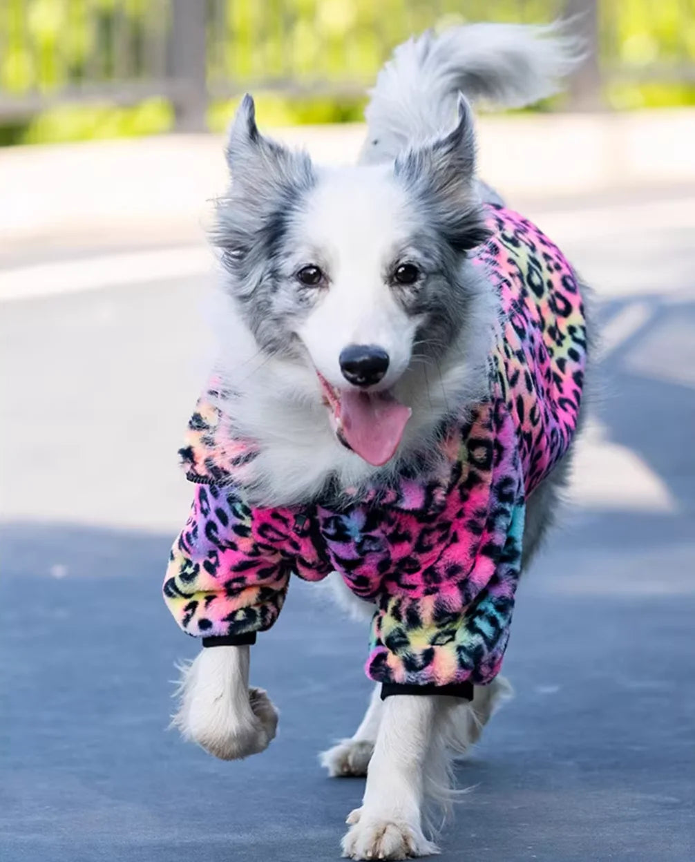 Leopard Print Fleece Winter Large Dog Sweater