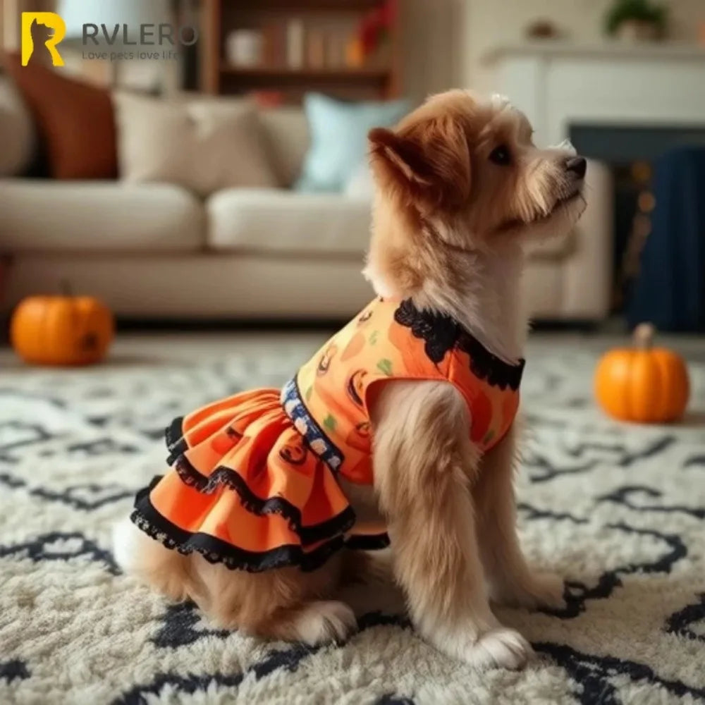 Dog Halloween Pumpkin Skirt Dress | Holiday Gear Collection | Girl Dog Lace Costume