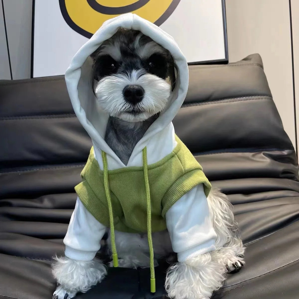 Dog Drawstring Hooded Sweatshirt | Holiday Gear Collection | Warm Winter Hoodie