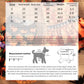 Dog Halloween Pumpkin Skirt Dress | Holiday Gear Collection | Girl Dog Lace Costume