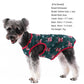 Christmas Vest for small dogs
