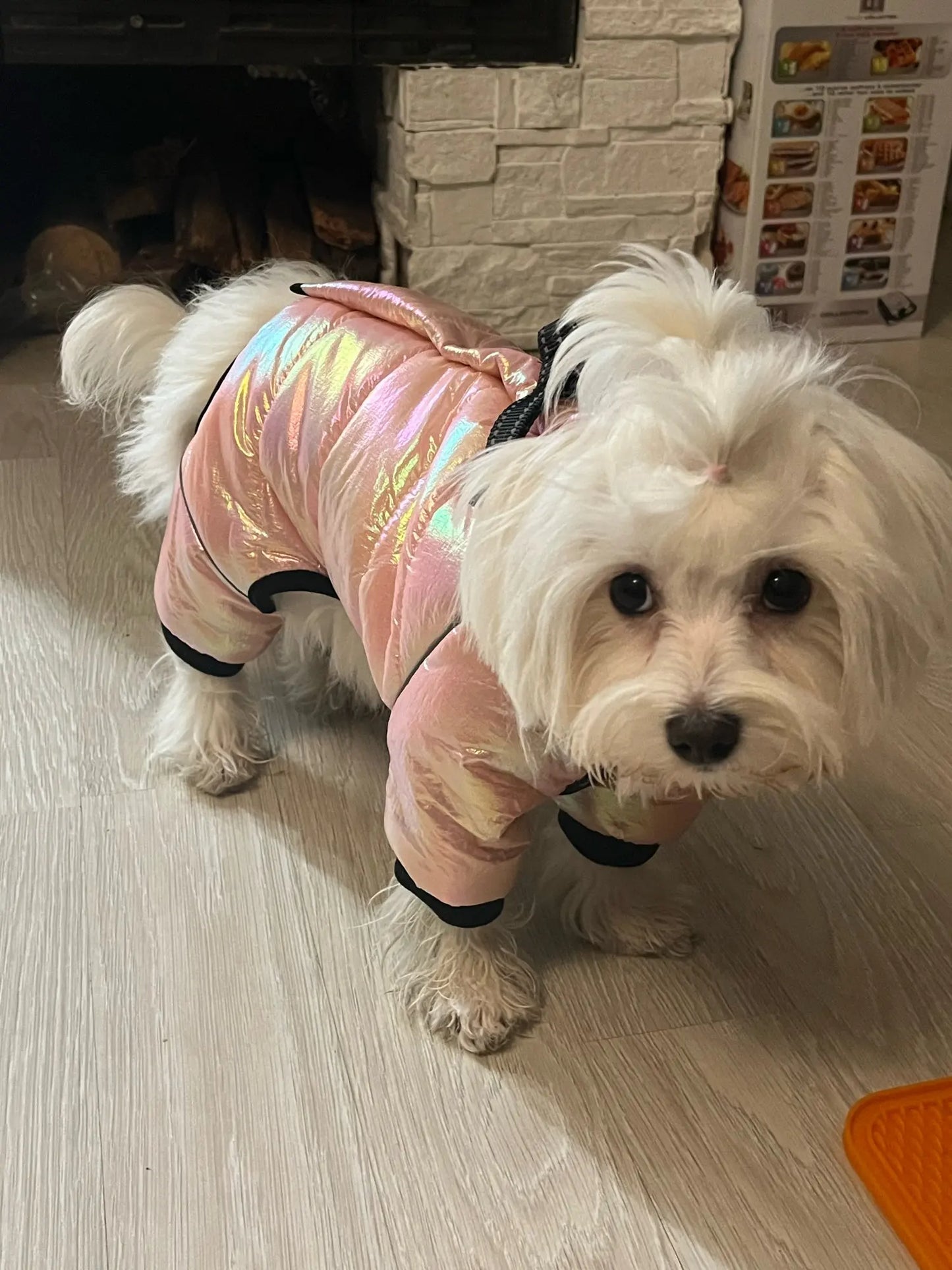 Warm Winter Jumpsuit Waterproof and Reflective for small dogs