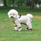 Warm Winter Jumpsuit Waterproof and Reflective for small dogs