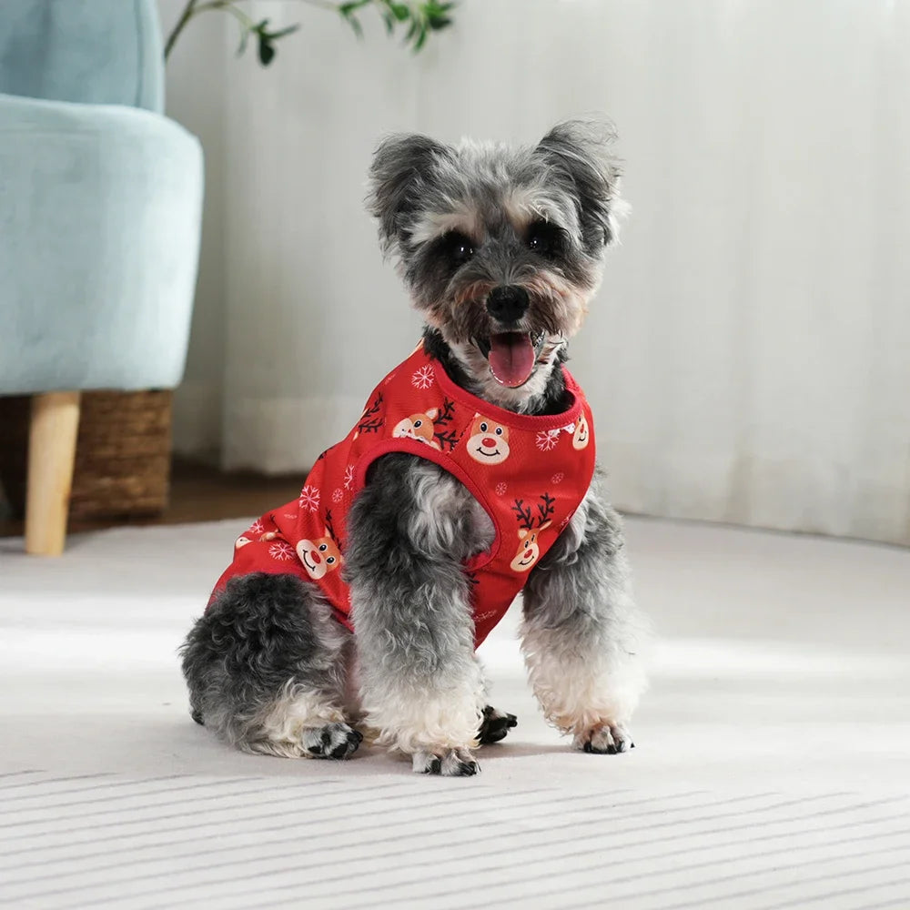 Christmas Vest for small dogs