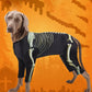 Dog Halloween Skeleton Costume | Holiday Gear Collection | Spooky Outfit