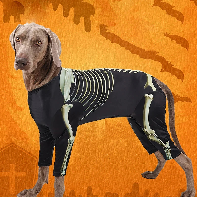 Dog Halloween Skeleton Costume | Holiday Gear Collection | Spooky Outfit