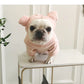 Cow and Pig Outfit for small and Medium dogs cutie Pajamas
