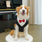 Dog Tuxedo Suit | Holiday Gear Collection | Bow Tie Formal