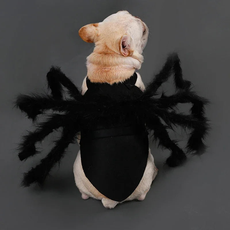 Dog Spider Halloween Costume | Holiday Gear Collection | 8-Leg Cosplay Outfit
