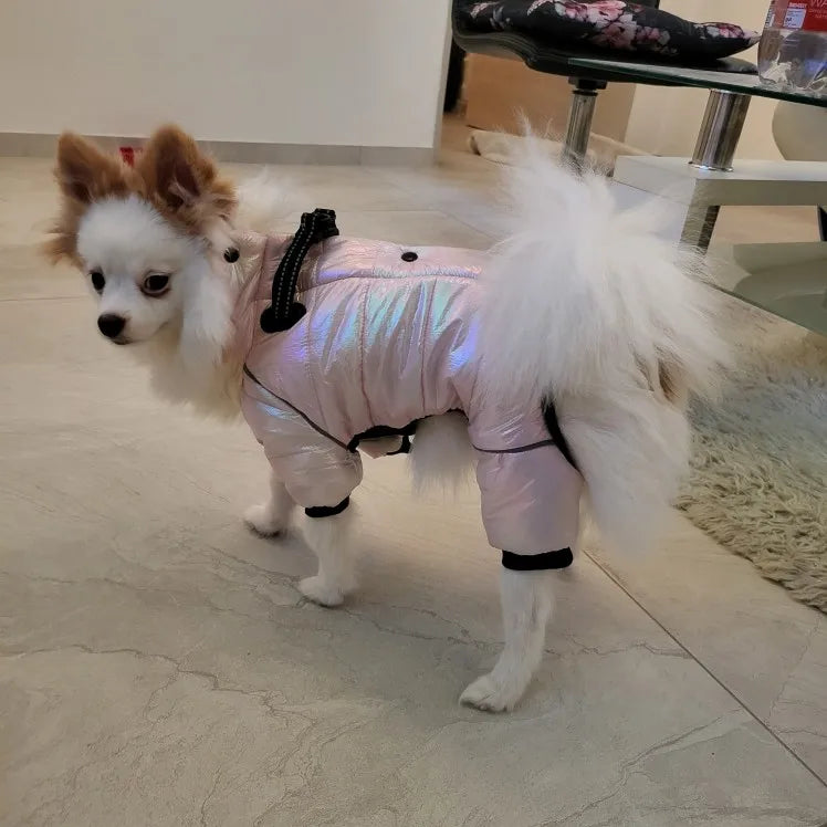 Warm Winter Jumpsuit Waterproof and Reflective for small dogs