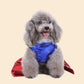 Dog Halloween Cosplay Dress | Holiday Gear Collection | Satin Pet Dress-Up Outfit