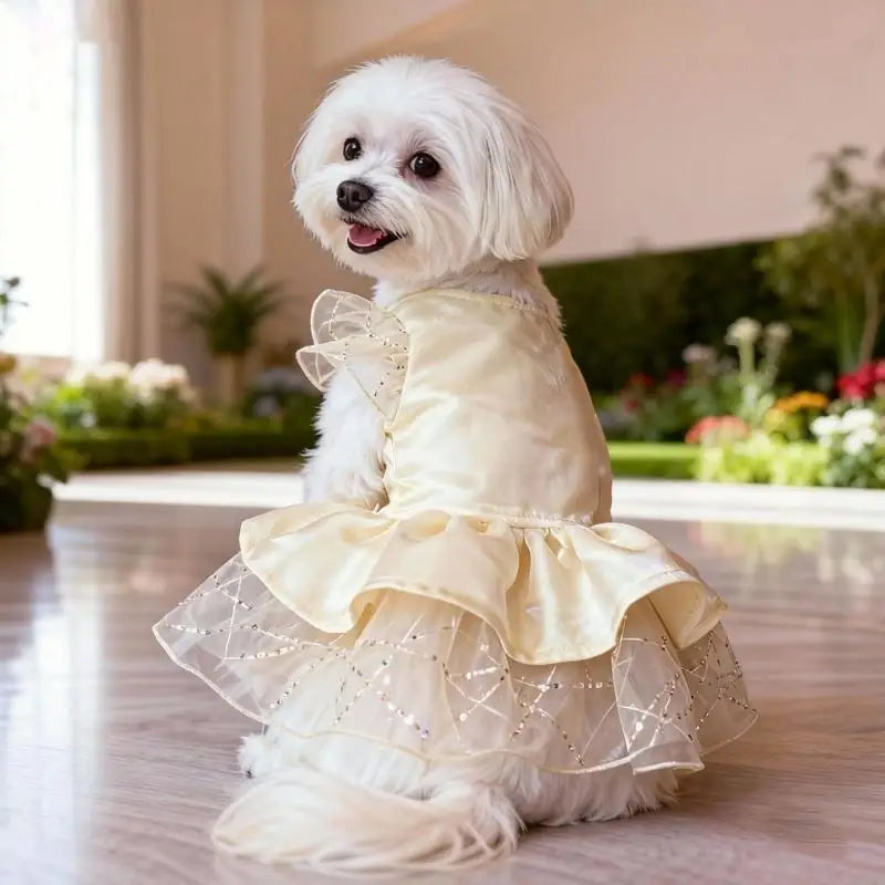 Dog Wedding Dress | Holiday Gear Collection | Formal Occasion Gown