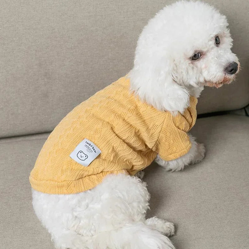 Warn knit winter Sweater for small dogs