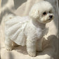 Dog Princess Dress Shirt | Holiday Gear Collection | Girl Dog Summer Outfit