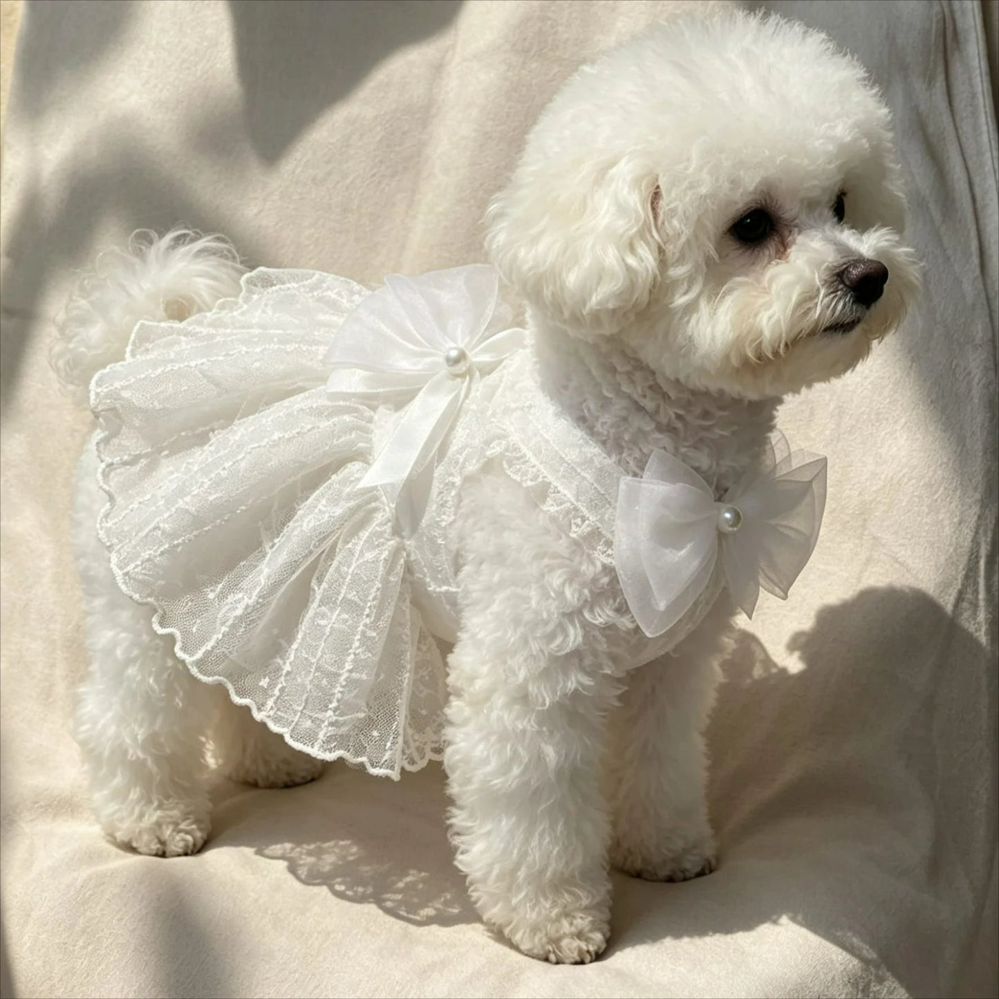 Dog Princess Dress Shirt | Holiday Gear Collection | Girl Dog Summer Outfit