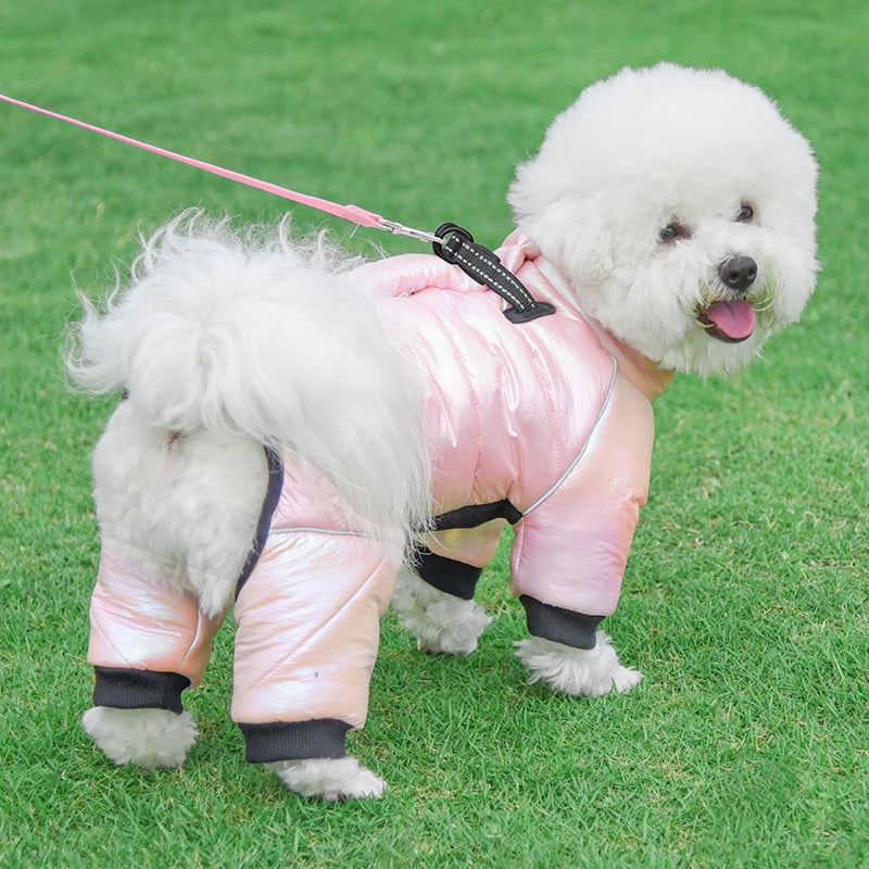 Warm Winter Jumpsuit Waterproof and Reflective for small dogs