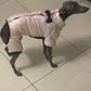 Warm Winter Jumpsuit Waterproof and Reflective for small dogs