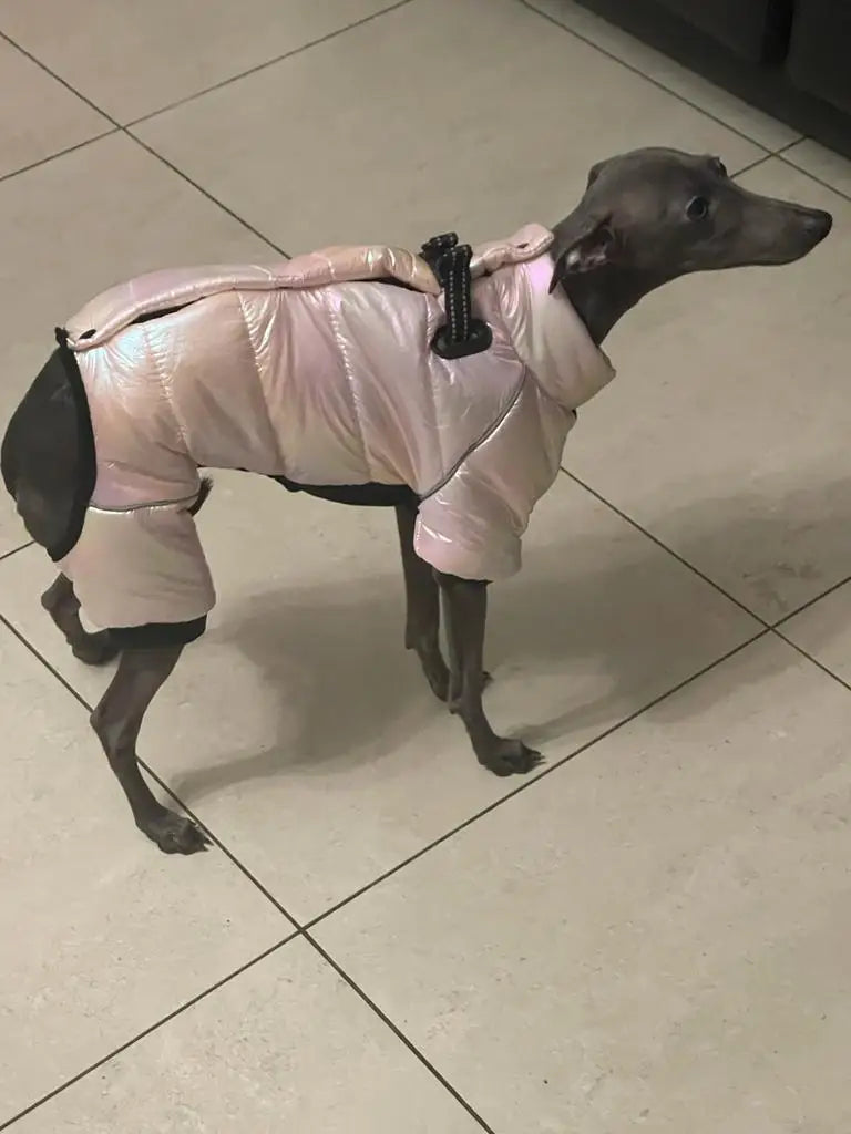 Warm Winter Jumpsuit Waterproof and Reflective for small dogs