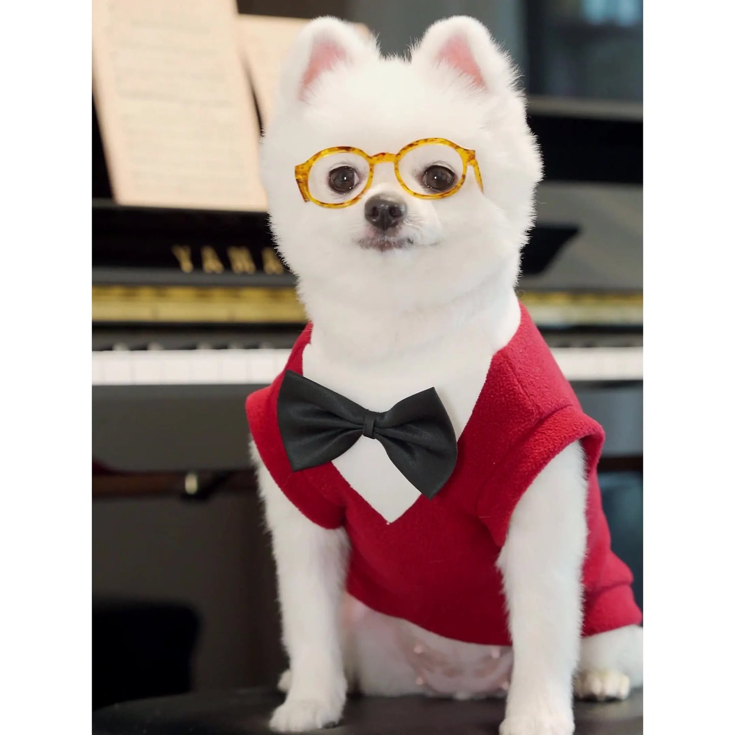 Dog Tuxedo Suit | Holiday Gear Collection | Bow Tie Formal