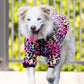 Leopard Print Fleece Winter Large Dog Sweater