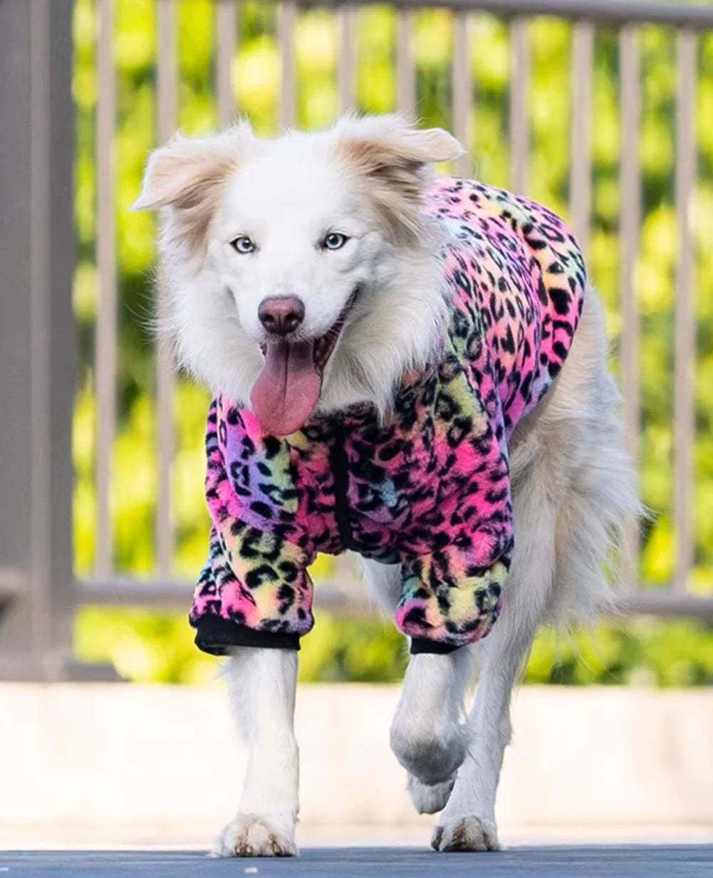 Leopard Print Fleece Winter Large Dog Sweater