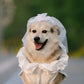 Dog Luxury Lace Wedding Dress | Holiday Gear Collection | Ruffles & Ribbon Bow Gown