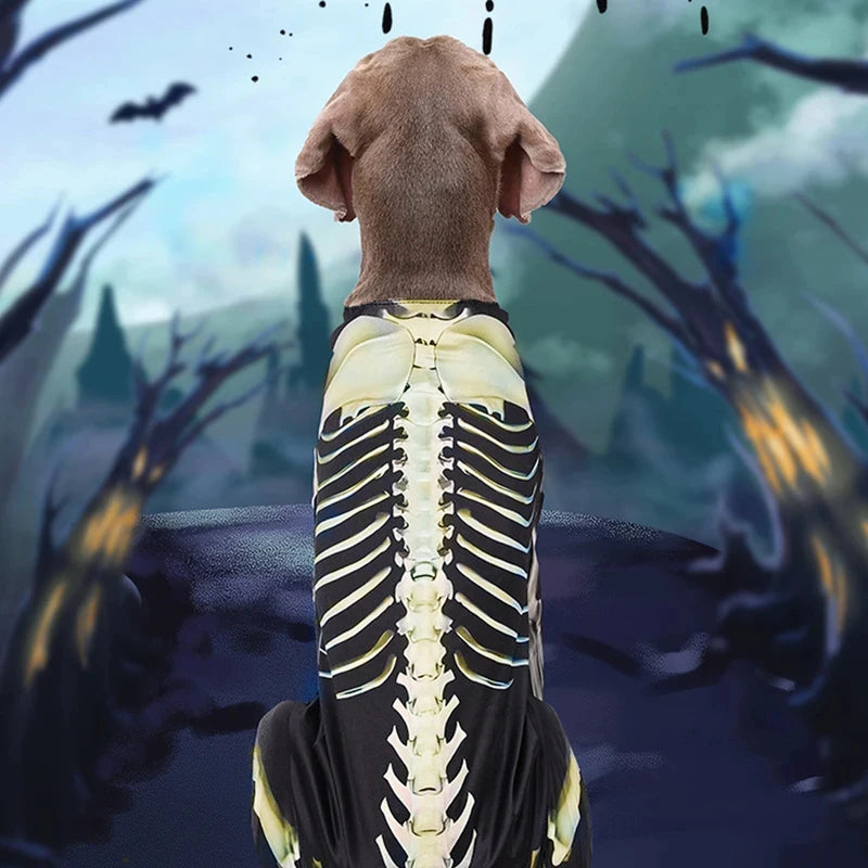 Dog Halloween Skeleton Costume | Holiday Gear Collection | Spooky Outfit