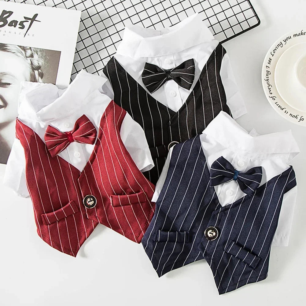 Dog Gentleman Suit | Holiday Gear Collection | Striped Bow Tie Shirt