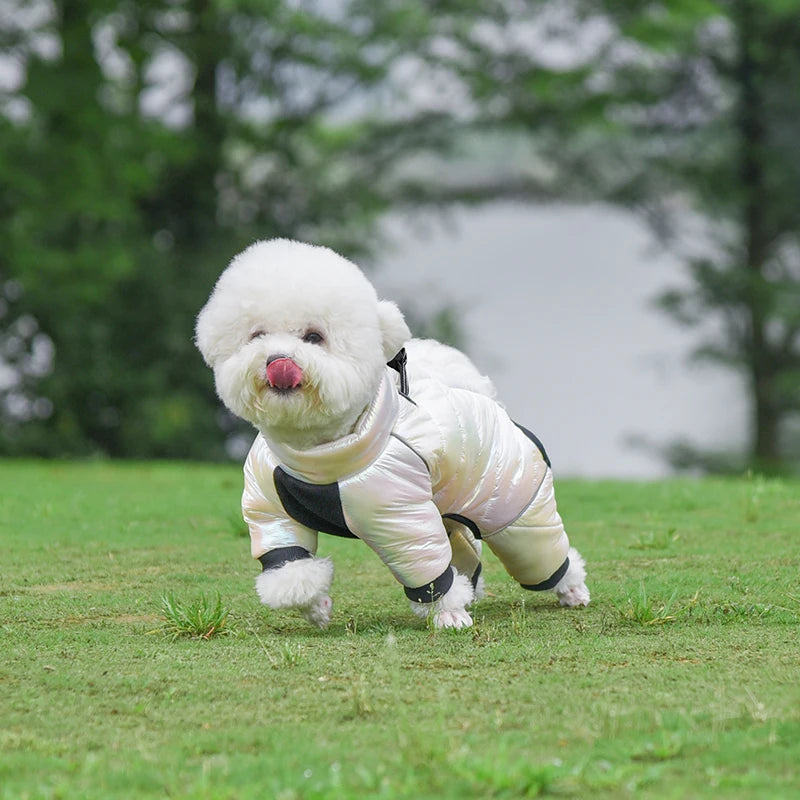 Warm Winter Jumpsuit Waterproof and Reflective for small dogs
