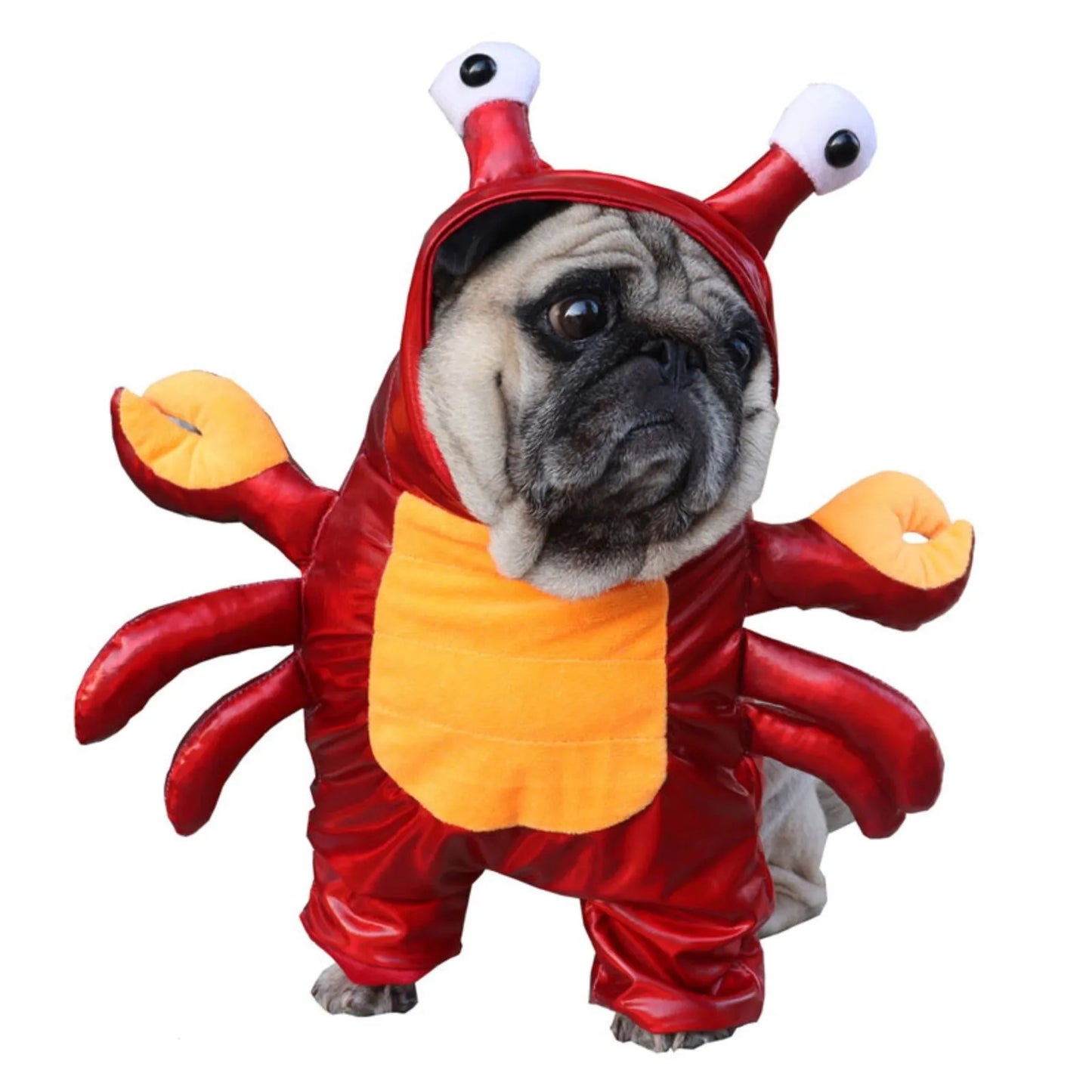 Dog Crab Cosplay Costume | Holiday Gear Collection | Halloween Hoodie