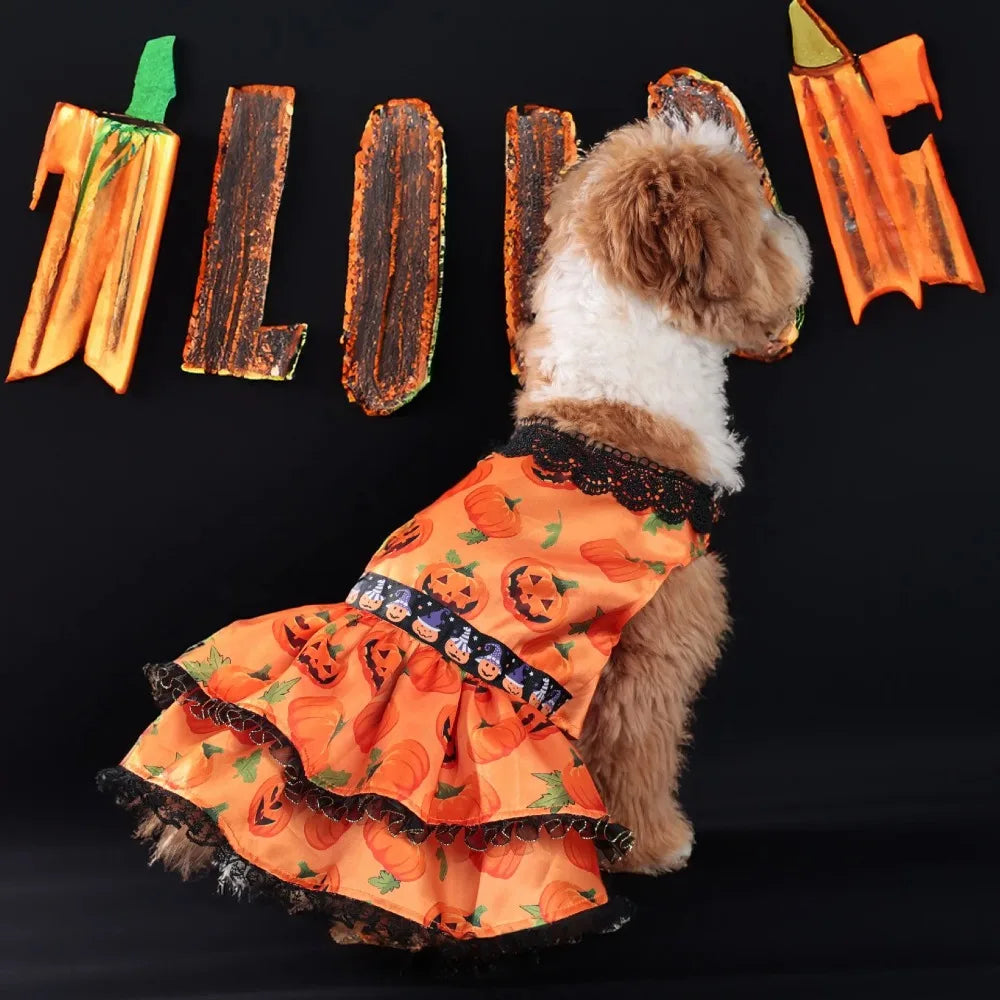 Dog Halloween Pumpkin Skirt Dress | Holiday Gear Collection | Girl Dog Lace Costume