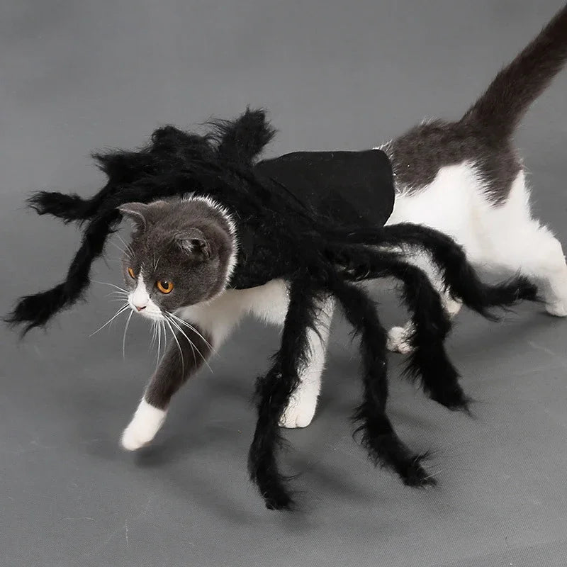 Dog Spider Halloween Costume | Holiday Gear Collection | 8-Leg Cosplay Outfit