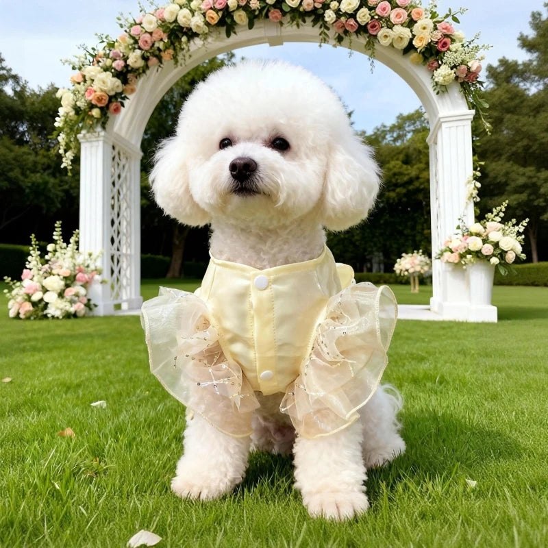 Dog Wedding Dress | Holiday Gear Collection | Formal Occasion Gown