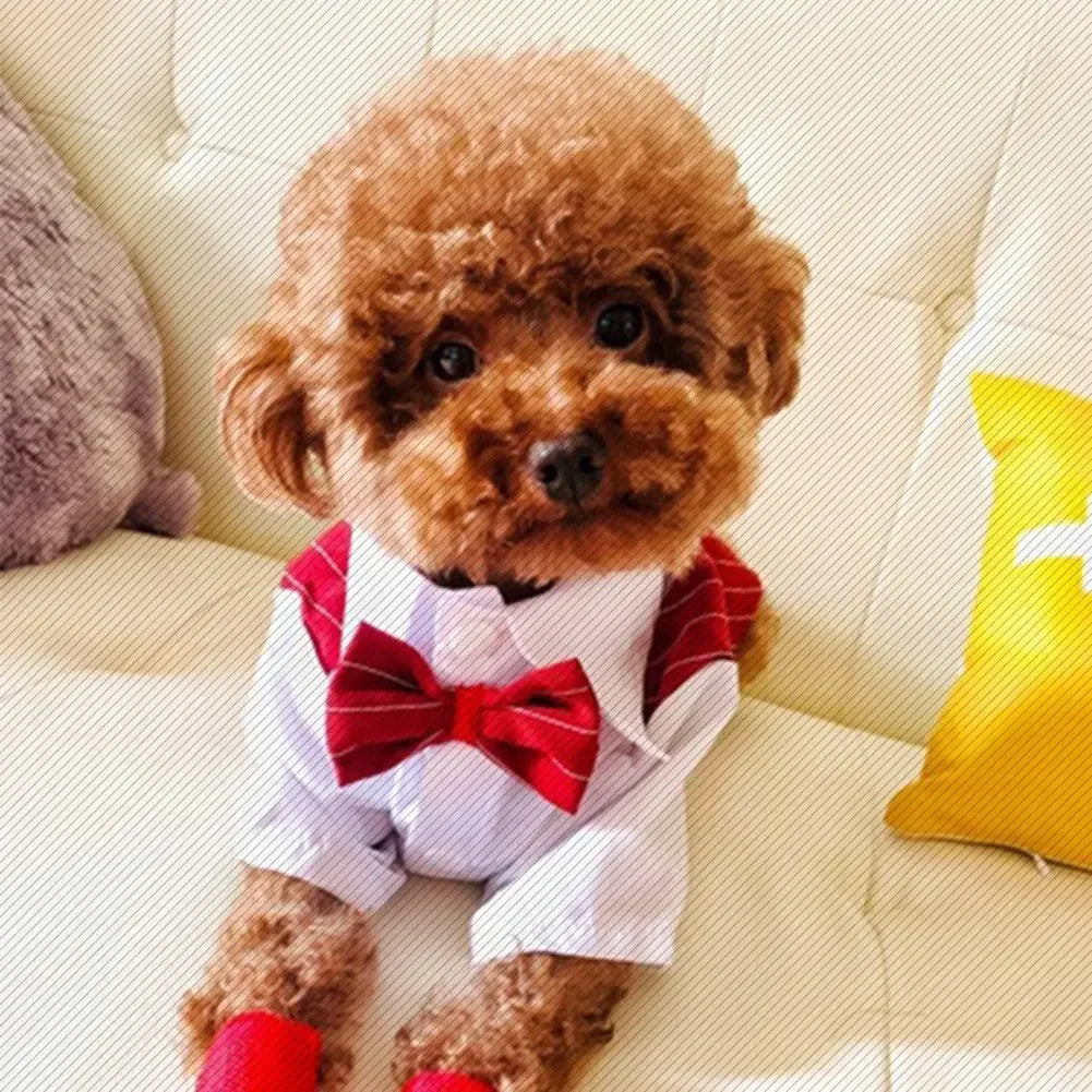 Dog Gentleman Suit | Holiday Gear Collection | Striped Bow Tie Shirt