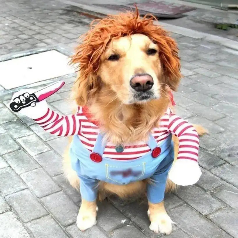 Dog Funny Halloween Costume | Holiday Gear Collection | Comical Knife-Holding Outfit