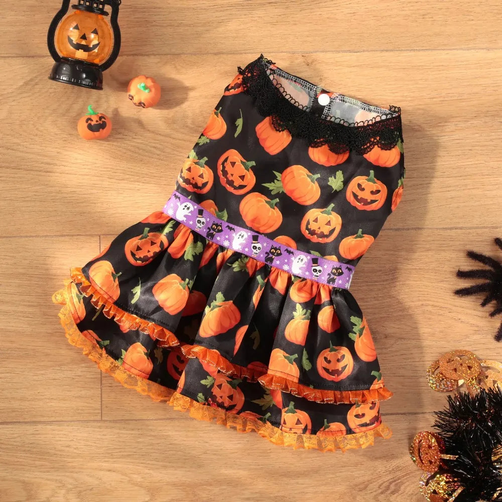 Dog Halloween Pumpkin Skirt Dress | Holiday Gear Collection | Girl Dog Lace Costume