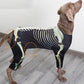 Dog Halloween Skeleton Costume | Holiday Gear Collection | Spooky Outfit
