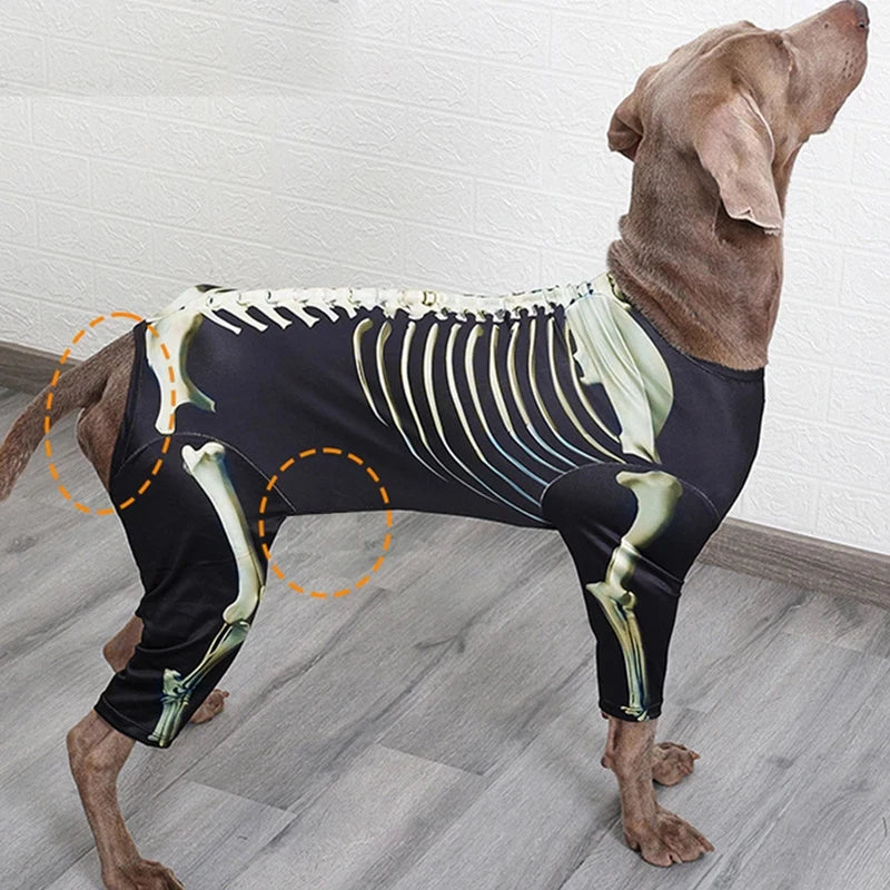 Dog Halloween Skeleton Costume | Holiday Gear Collection | Spooky Outfit