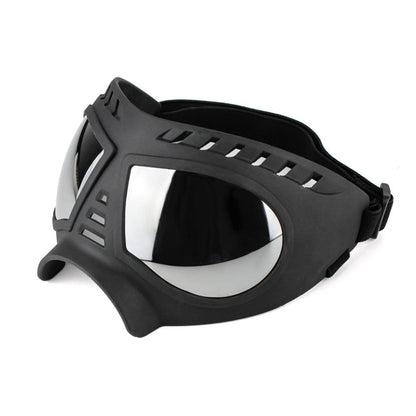 Cool Dog Sunglasses