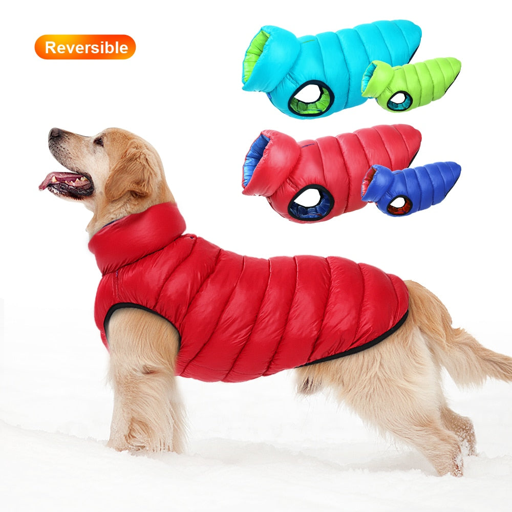 Winter Reversible Coat for Medium to Large dogs