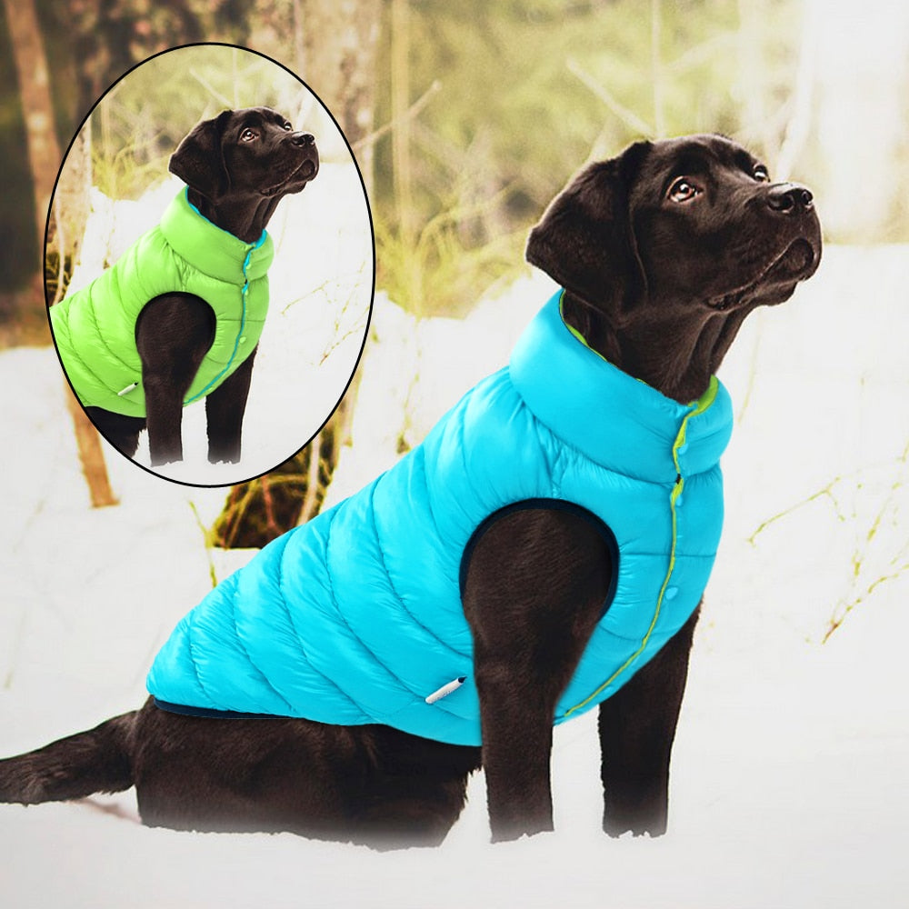 Winter Reversible Coat for Medium to Large dogs