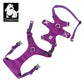 3 Way Harness TRUELOVE