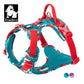 Harness Festive Summer Colors Reflective TRUELOVE